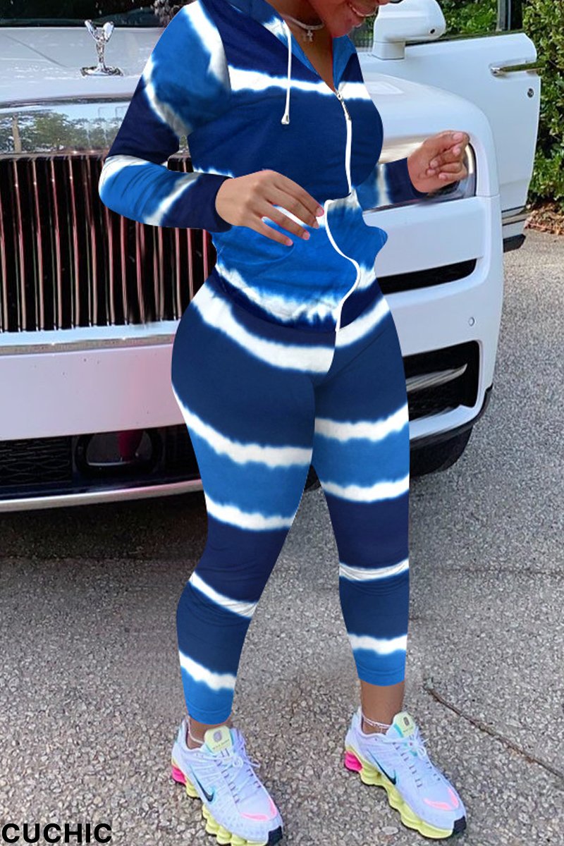 Blue Fashion Casual Print Basic Hooded Collar Long Sleeve Two Pieces-CuChic