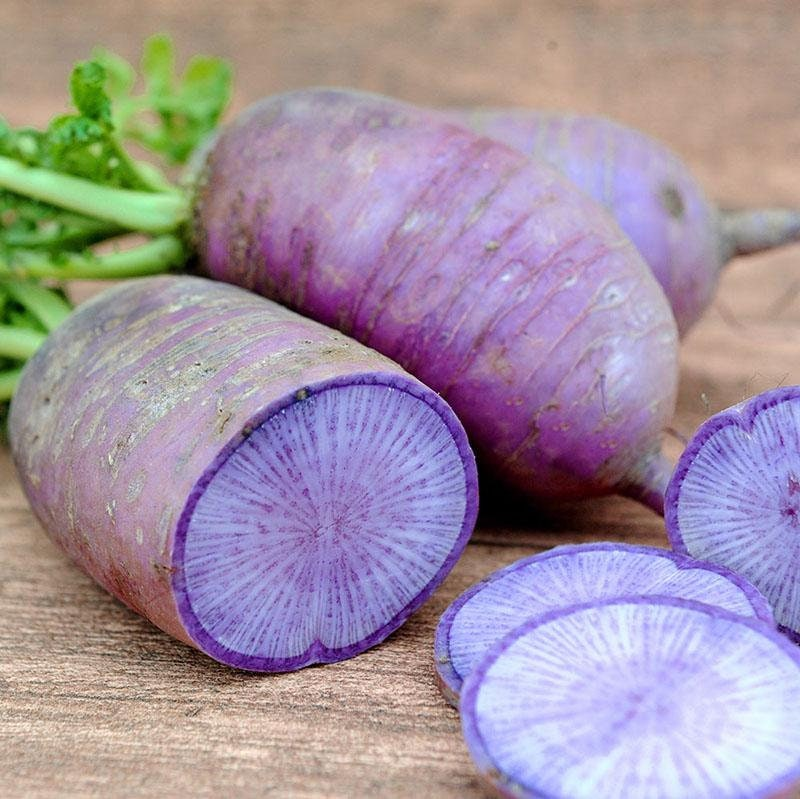 Rare Heirloom Blue Moon Radish Seeds