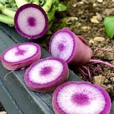 Rare Heirloom Blue Moon Radish Seeds