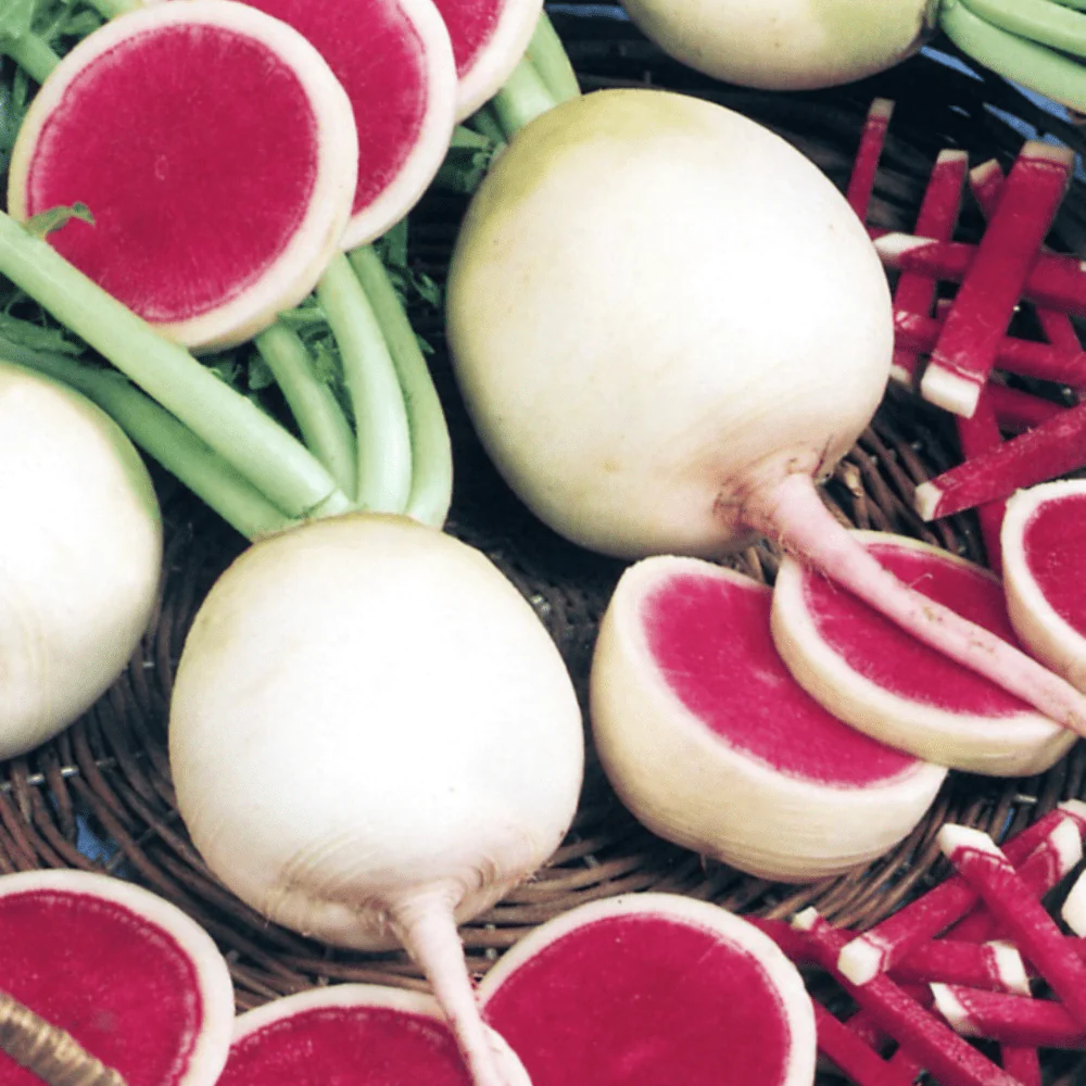 Exotic Radish Watermelon Seeds for Planting