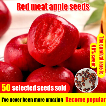 💥Winter Sale☃️Rare Red-Flesded Apple Seeds🍎 Seeds Heirloom Exotic Garden Fruit