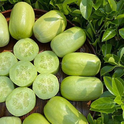 Fat Reduction Zone🌈🌿Milk Thumb Cucumber🥒