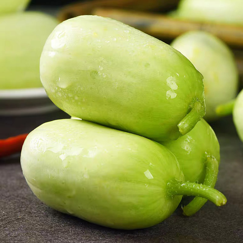 Fat Reduction Zone🌈🌿Milk Thumb Cucumber🥒