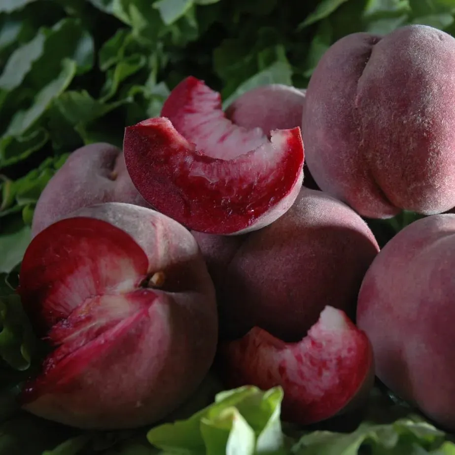 Peach Tree Seeds🍑🌱 Suitable For Family Planting, Good Harvest Every Year