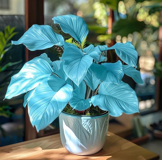 Vibrant Caladium🏡☘️Bonsai, Interior Design, Yard