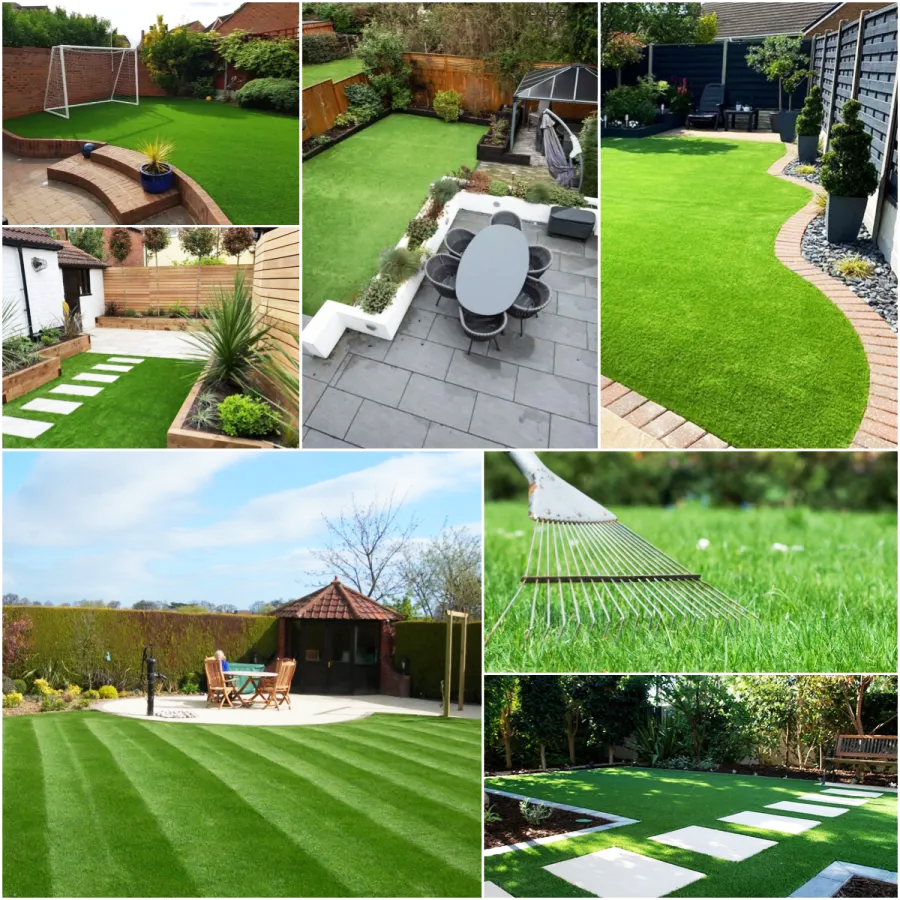 Four-Season Evergreen No-Mow Lawn Seed🏘️🌿