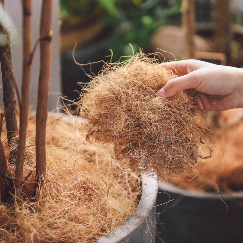 Coconut Coir Mulch🥥🪴Environmentally Friendly, Beautiful, Improves Health