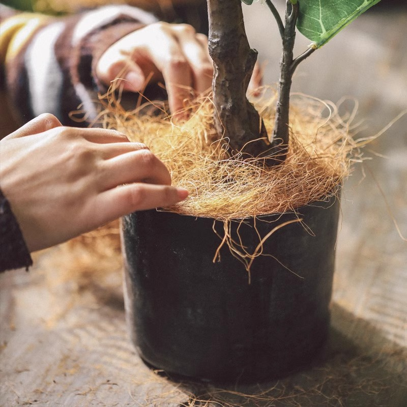 Coconut Coir Mulch🥥🪴Environmentally Friendly, Beautiful, Improves Health