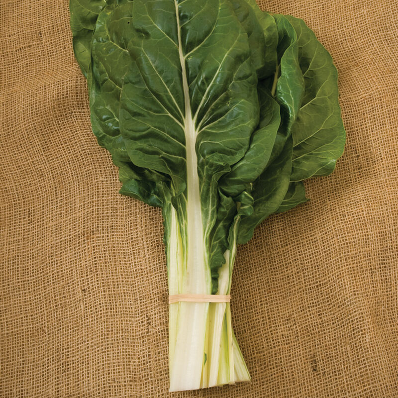 Fordhook Giant Organic Swiss Chard Seeds
