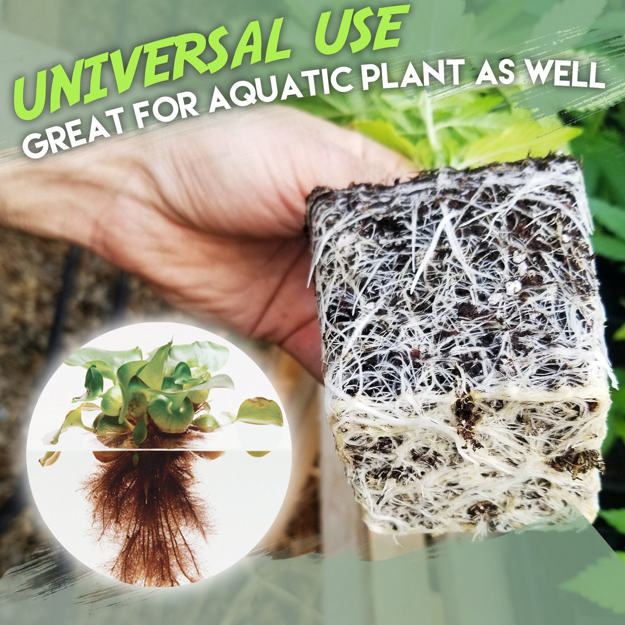 Rapid Rooting Powder