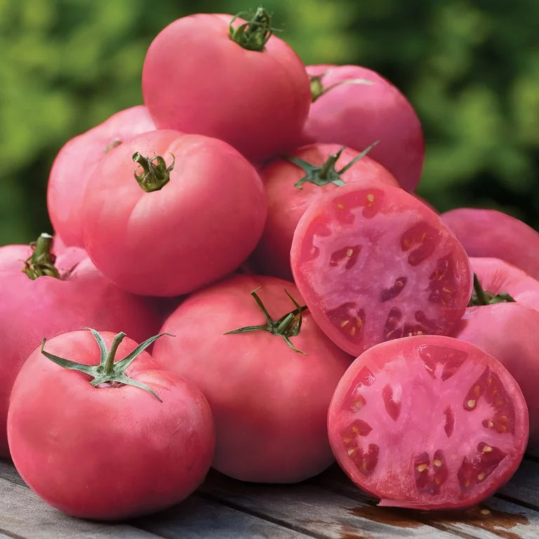 Tomato Brandywine Pink Seeds