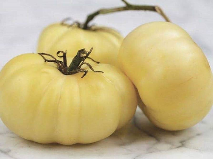 Amazon.com : White Beauty Tomato Seeds - 6 to 8 oz Creamy White beesteak  Tomatoes.(25 - Seeds) : Patio, Lawn & Garden
