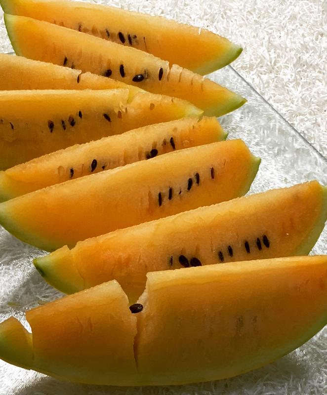 Gold in Gold Hybrid Watermelon Seeds