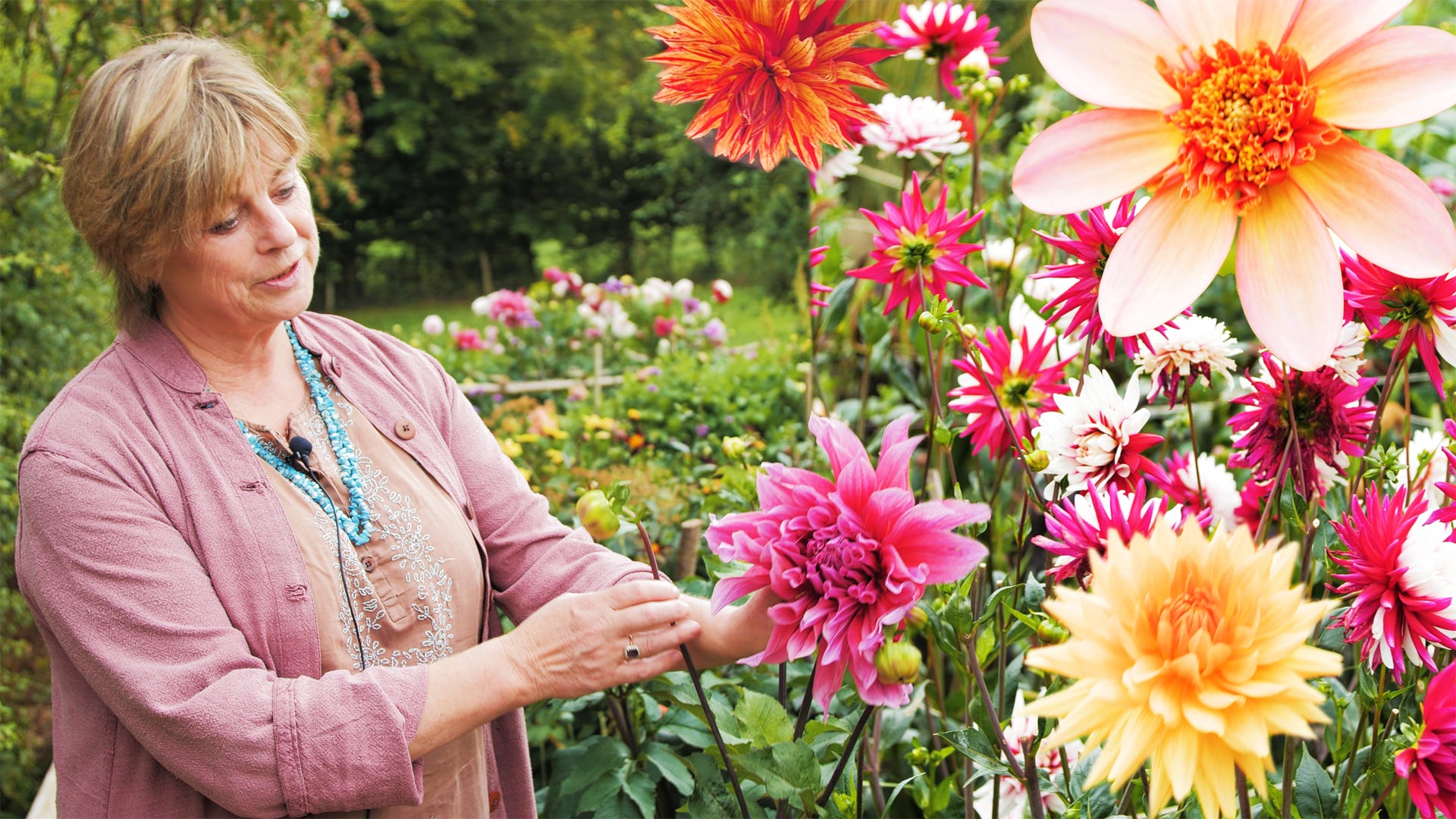 How To Grow Dahlias - A visit to Sarah Raven's cutting garden - GH Gardens