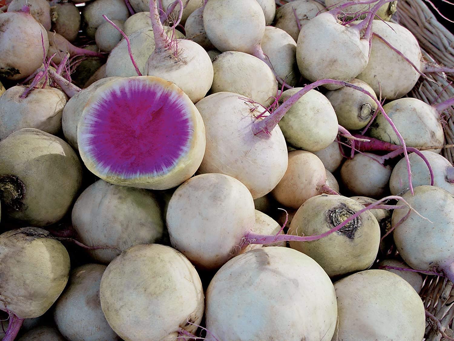 Exotic Radish Watermelon Seeds for Planting - 250+ Seeds - Rare Garden Vegetable Seeds