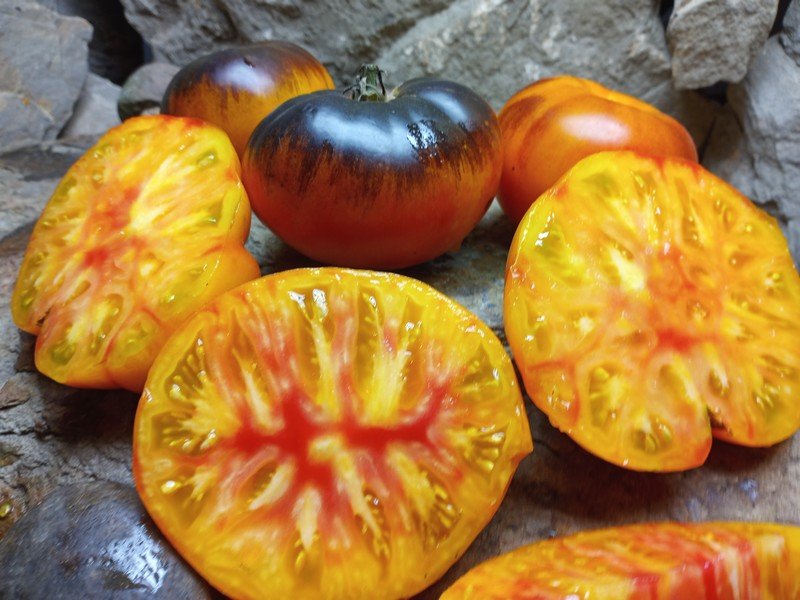 A Popular Organic Beefsteak Tomato By Brad Gates Lucid Gem Tomato Seeds  Available Here. - Bounty Hunter Seeds - Rare Heirloom Tomato Seeds