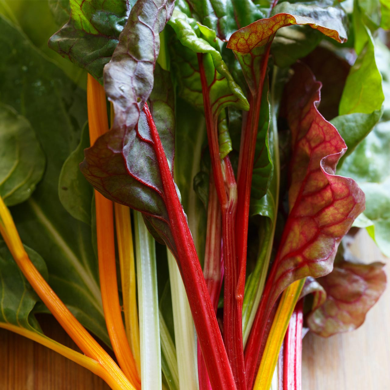 Rainbow Mix Swiss Chard Seeds