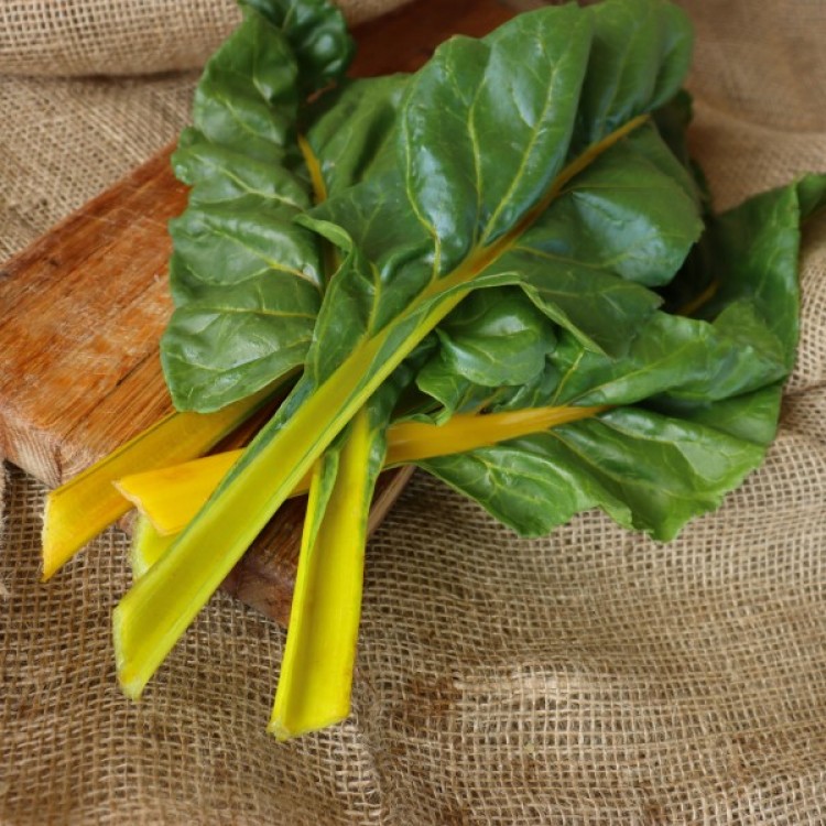 Heart of Gold Organic Swiss Chard Seeds