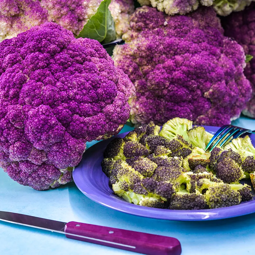 CAULIFLOWER, PURPLE OF SICILY