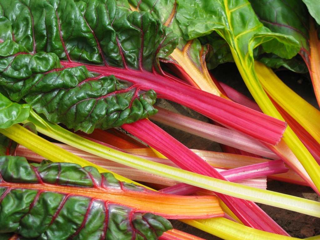 Rainbow Mix Swiss Chard Seeds