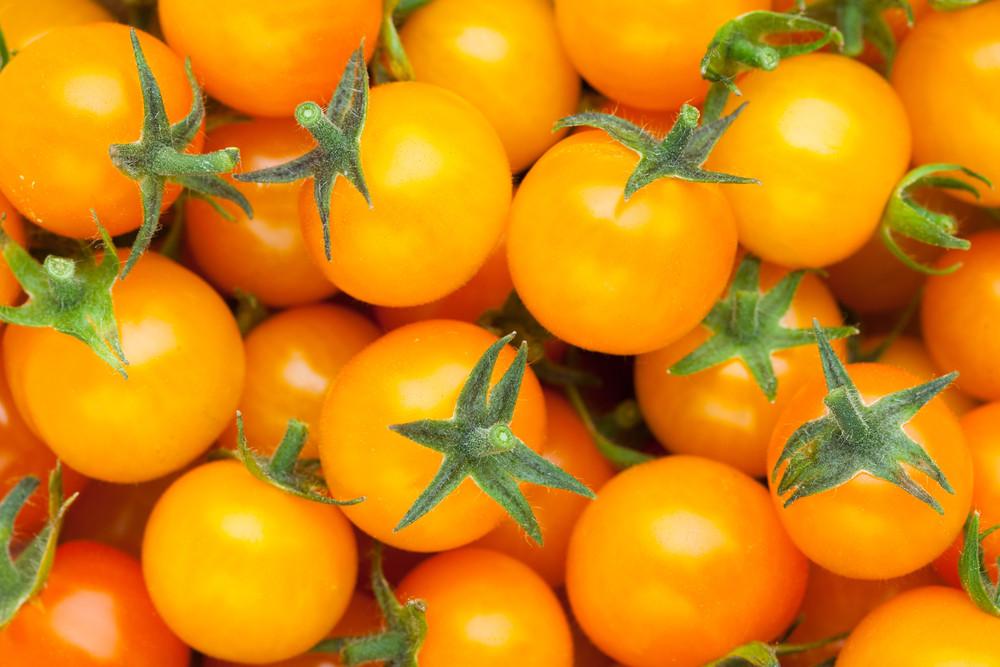 Honey Cherry Tomato | Metchosin Farm | Buy Seeds Online