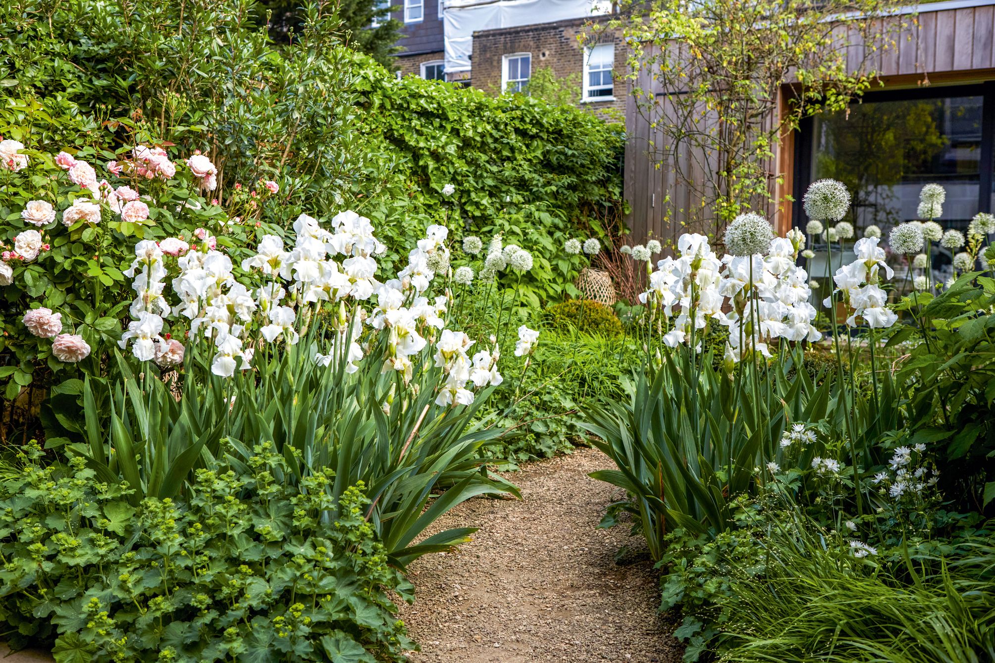 Convallaria majalis or Lily of the valley and how it is grown | Gardens  Illustrated