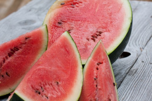 Sugar Baby Bush Watermelon 25 Seeds | Super Hot Chiles
