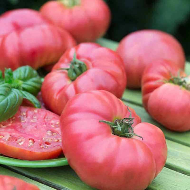 Tomato Brandywine Pink Seeds