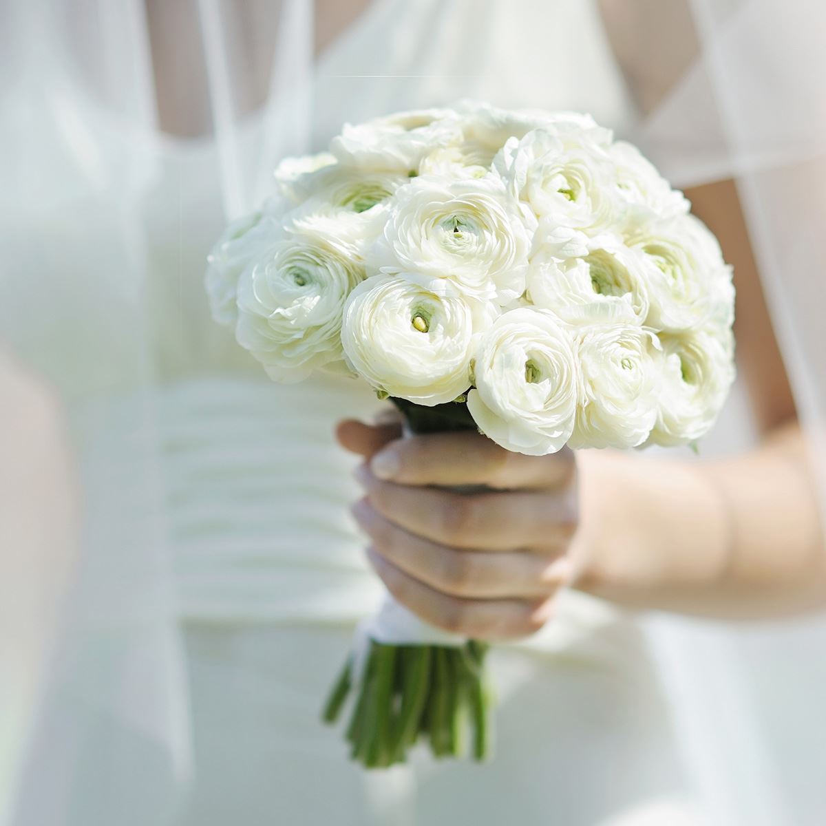 A Nice Day for a White Wedding: The Essential Flower Guide - Stylewatch -  Flower.Style Magazine