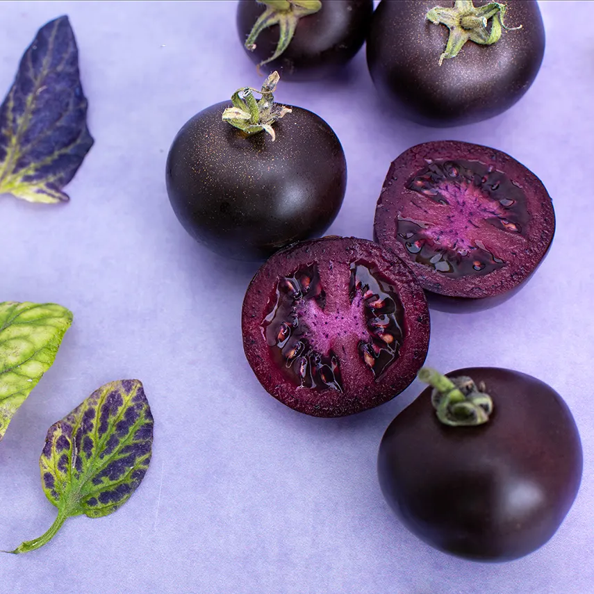 Tomato Seeds, Purple Galaxy Baker Creek Heirloom Seed Company