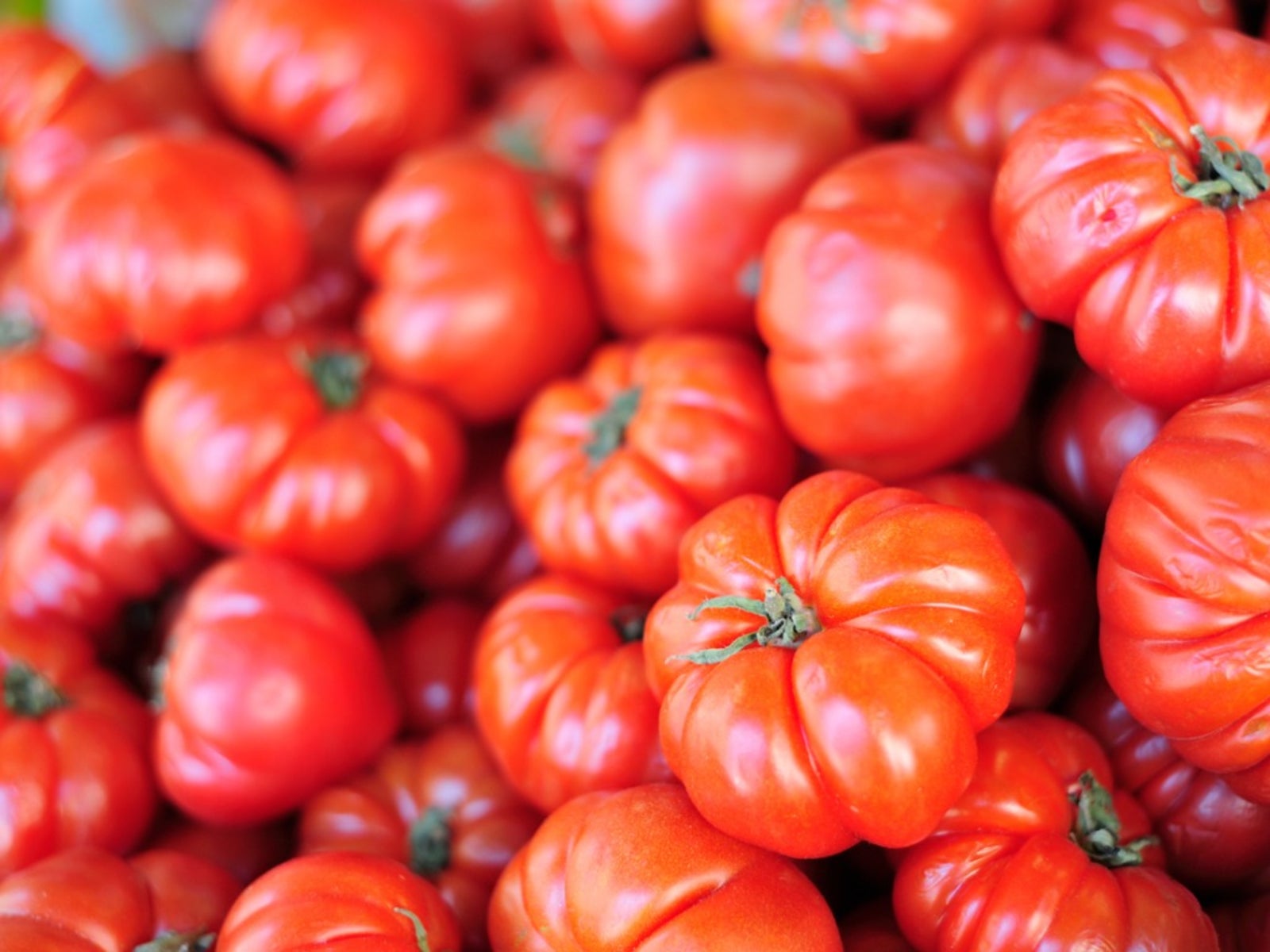 Planting Beefsteak Tomatoes: How To Grow Beefsteak Tomatoes | Gardening  Know How