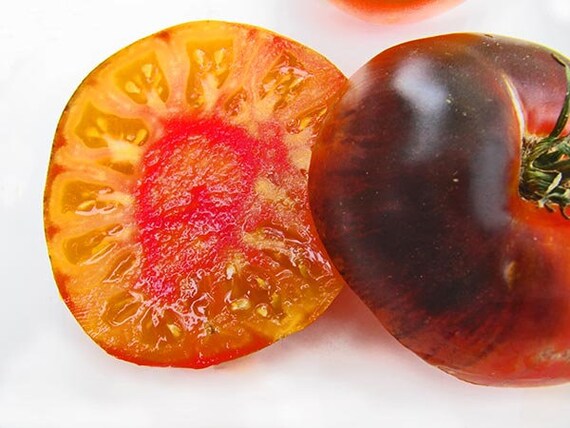 Lucid Gem Tomato Seeds - Etsy UK