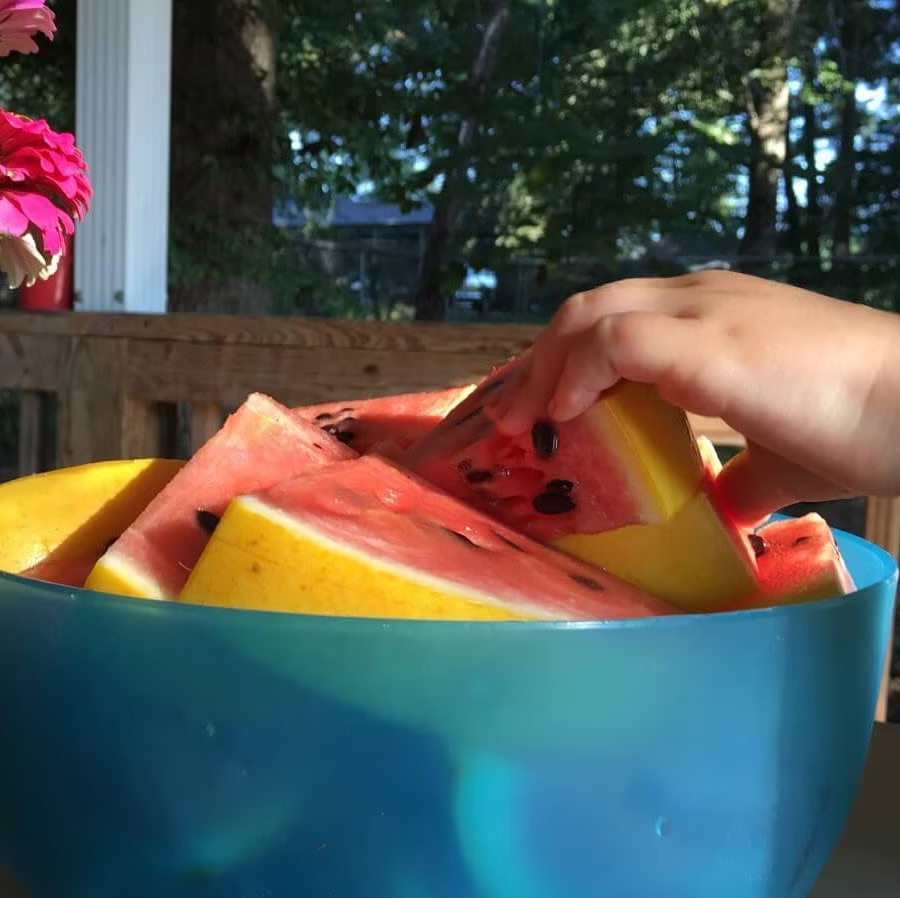 Golden Midget Watermelon Seeds