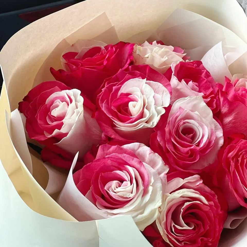 Fuchsia white rose seeds - Cozy Beauty