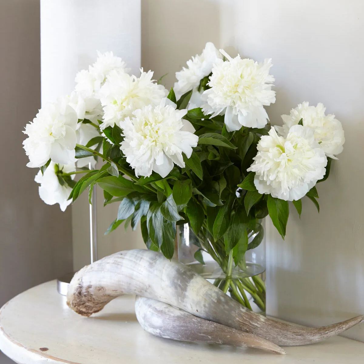 Peony 'Bridal Shower'