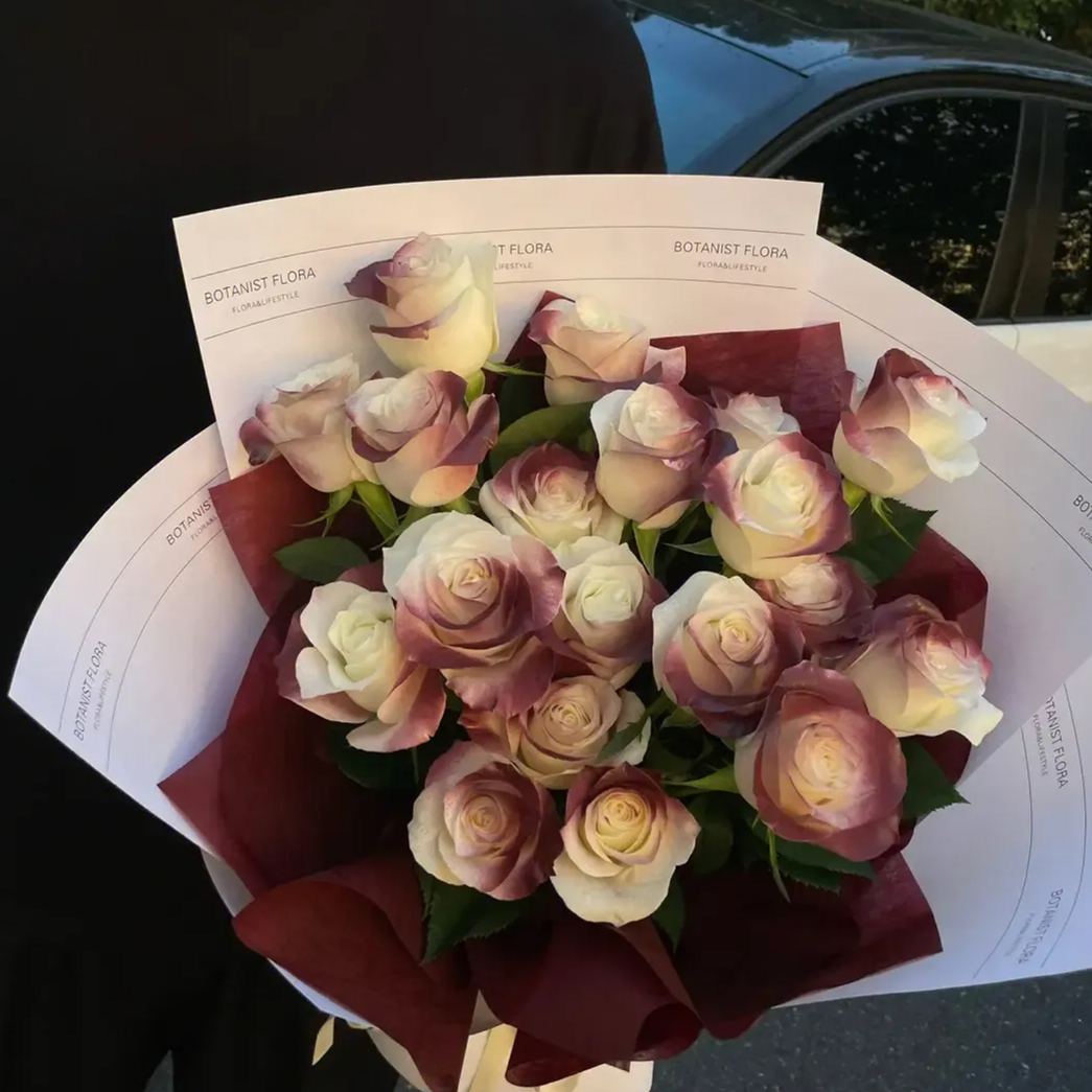 Versailles Vintage Red Rose Seeds