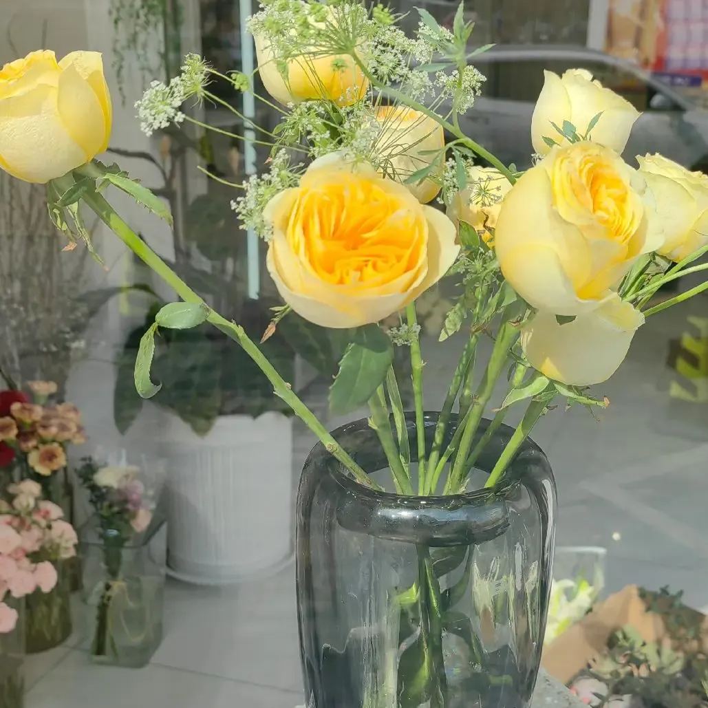 Warm Jade Rose Seeds