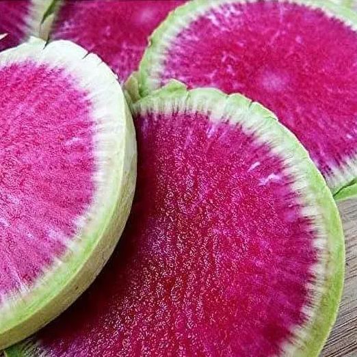 Exotic Radish Watermelon Seeds for Planting
