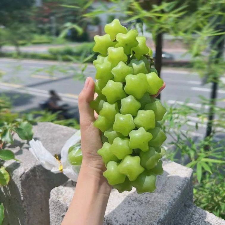 Star Grapes - Heirloom Seeds