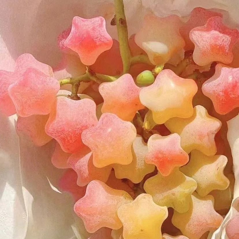 Star Grapes - Heirloom Seeds