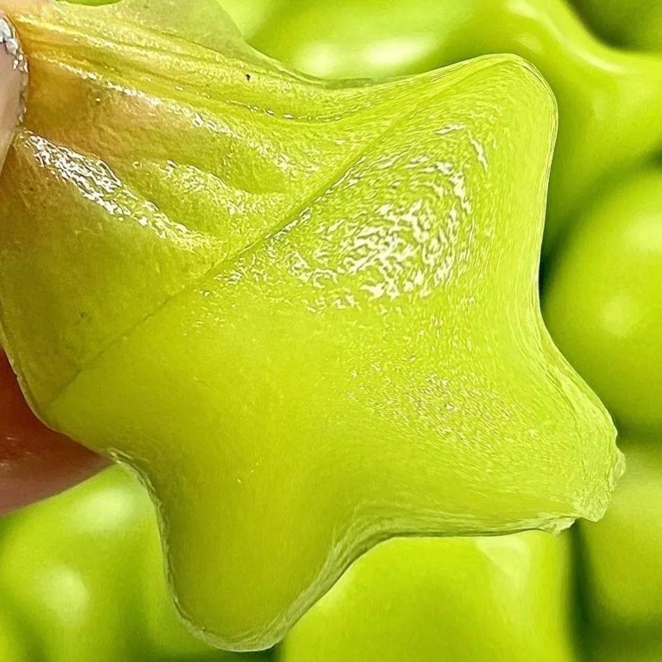 Star Grapes - Heirloom Seeds