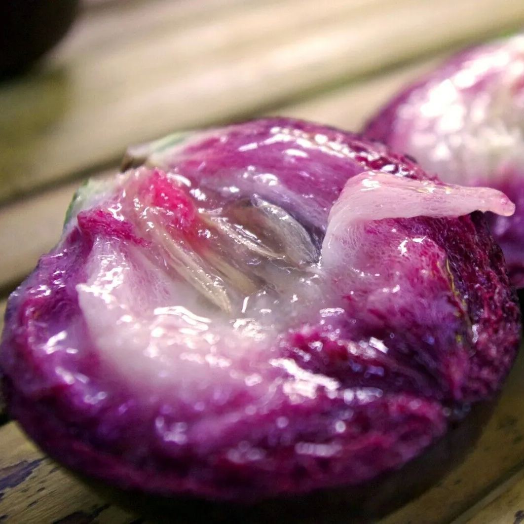 Milk Fruit (Star Apple)