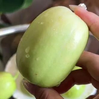 Fat Reduction Zone🌈🌿Milk Thumb Cucumber🥒