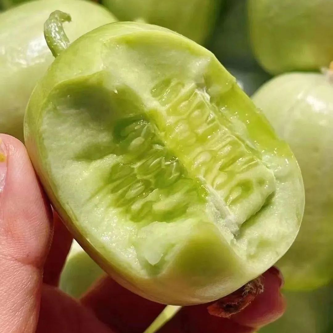 Fat Reduction Zone🌈🌿Milk Thumb Cucumber🥒