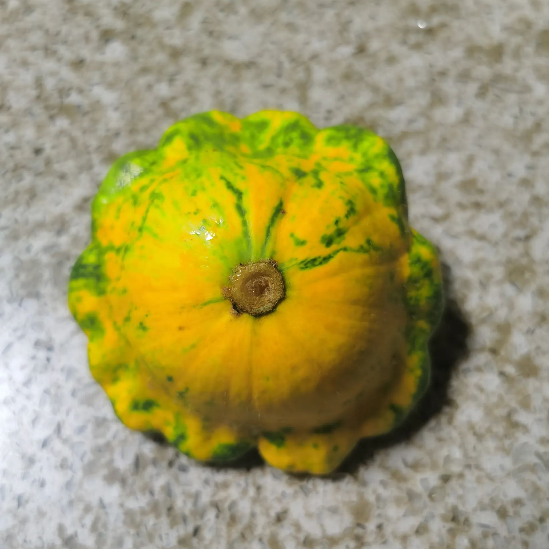 Weird and Cute Pumpkins - Flying Saucer Pumpkin Seeds