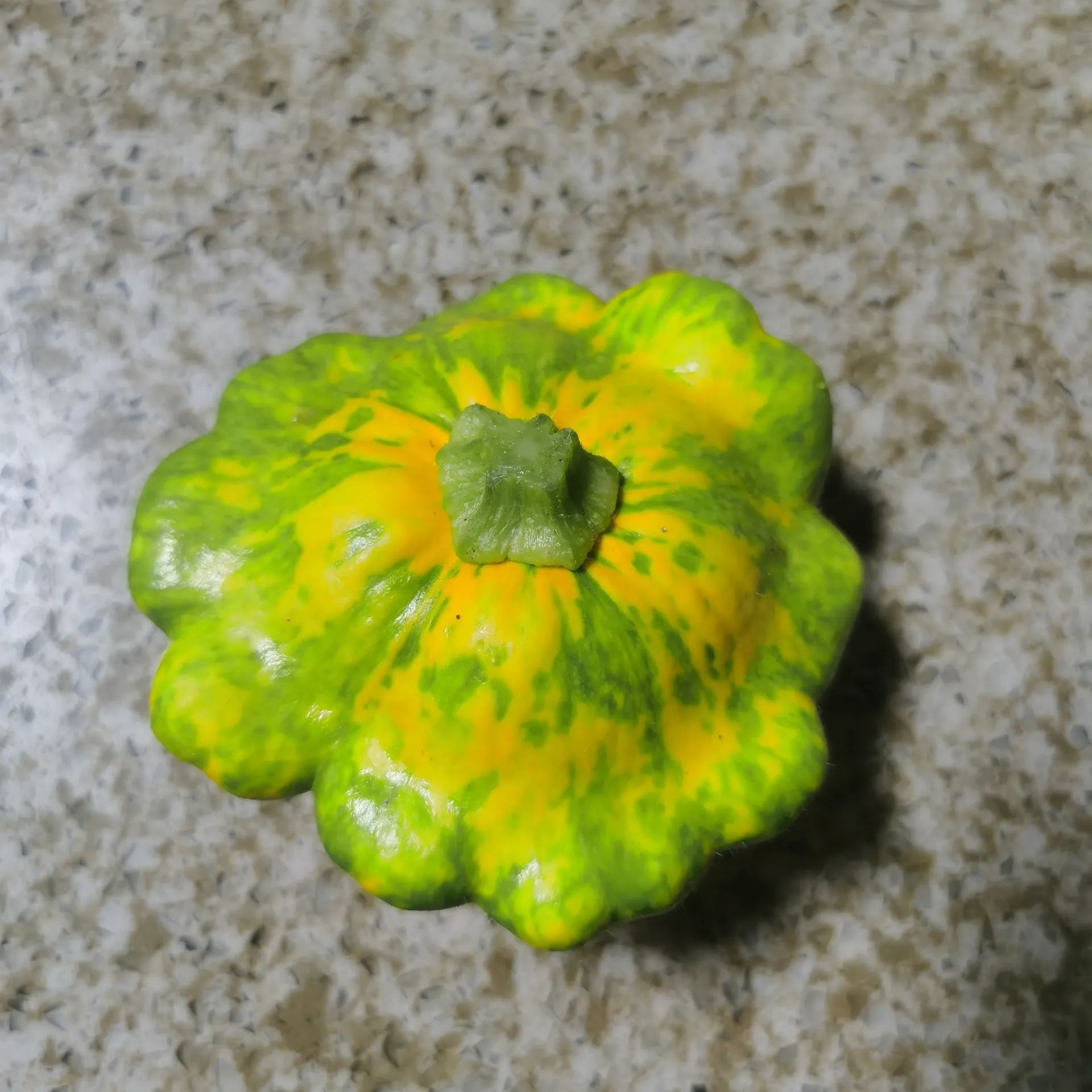 Weird and Cute Pumpkins - Flying Saucer Pumpkin Seeds