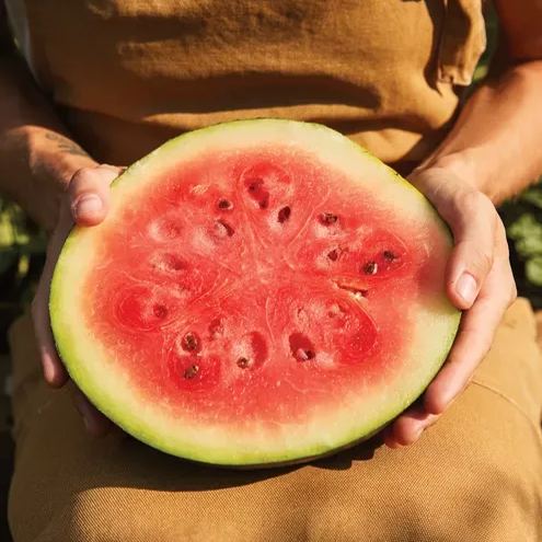Sugar Baby Bush Watermelon Seeds