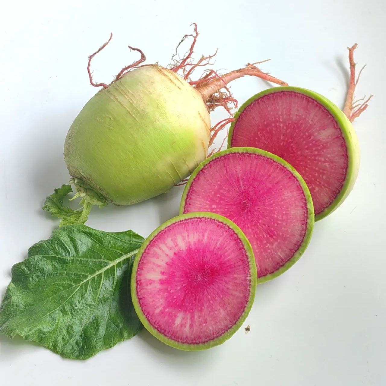 Rare Heirloom Radish "Red Heart"