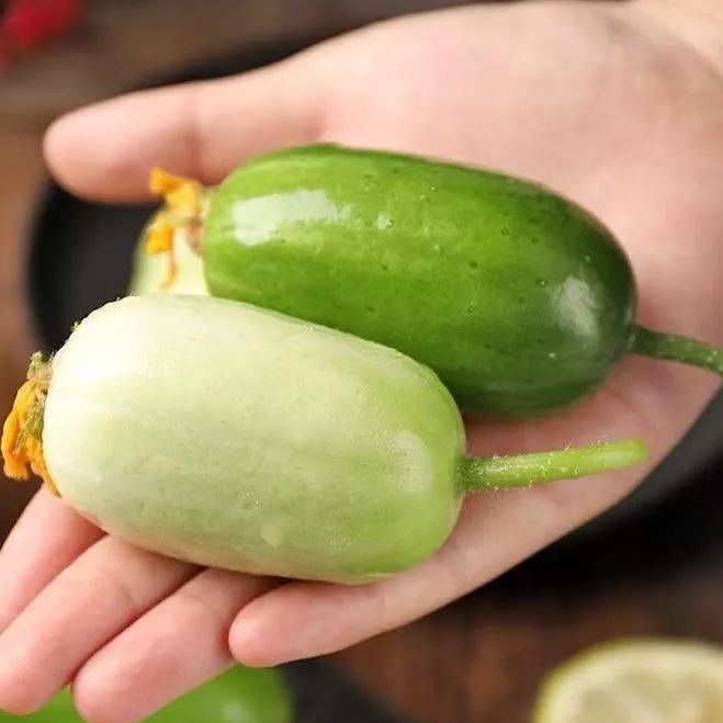 Healthy Fat Loss Area🌈🌿Milk Thumb Cucumber🥒