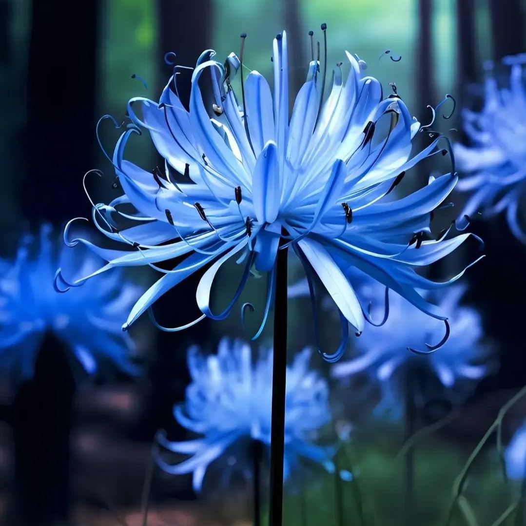 🚀🚨Limited Time Offer💙🫧Blue Flower Collection/Heirloom Seeds👩‍🌾